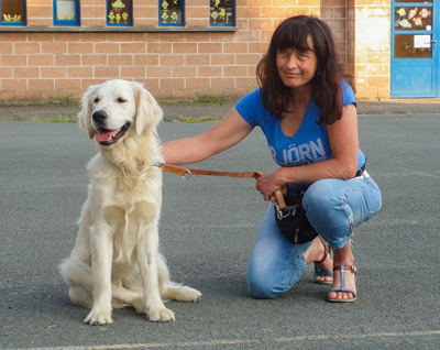 vrijwilliger bénévole Dyadis